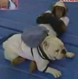 Interspecies Physical Fitness
